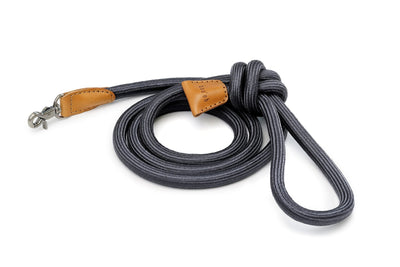 Ray Leash, Dark Graphite Grey