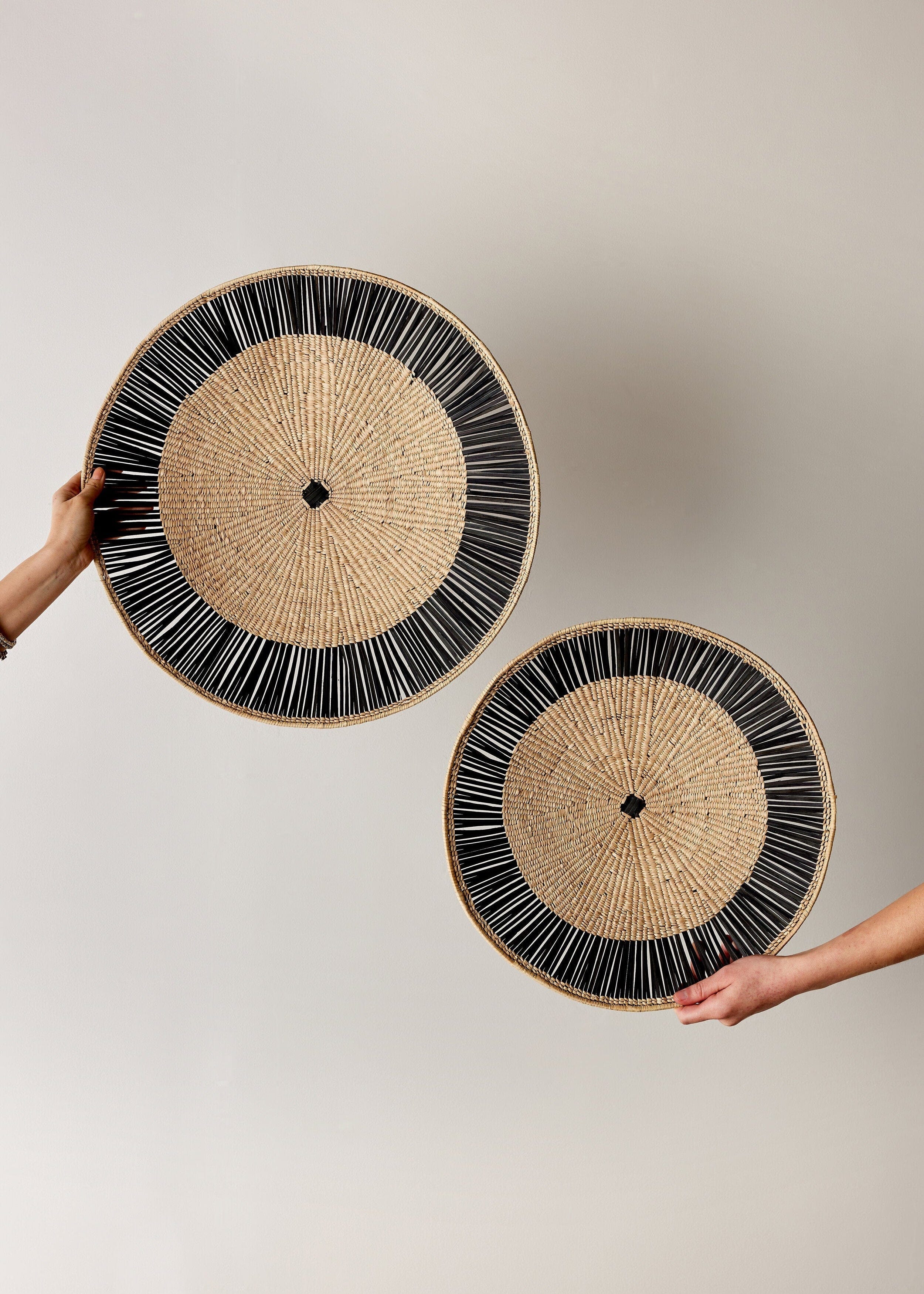 Lily Pad Black Ray Wall Basket