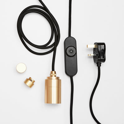 Squirrel Cage Plug-In Pendant in Brass