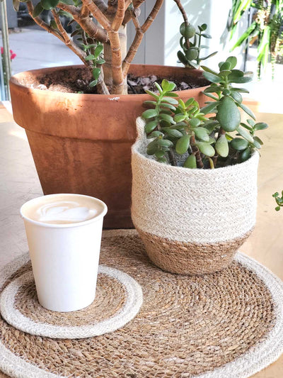Korissa Amari Loop Bin holding succulent plant beside coffee cup