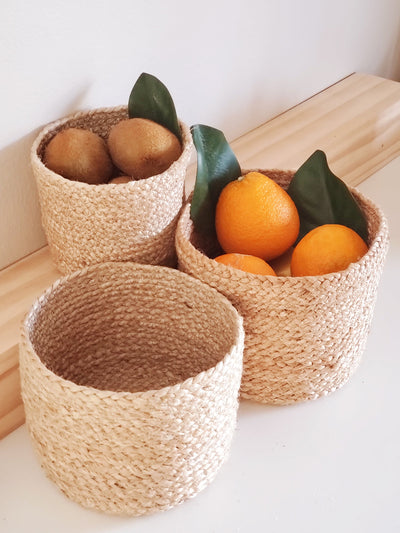 Korissa Kata Bin holding citrus fruit on wood countertop