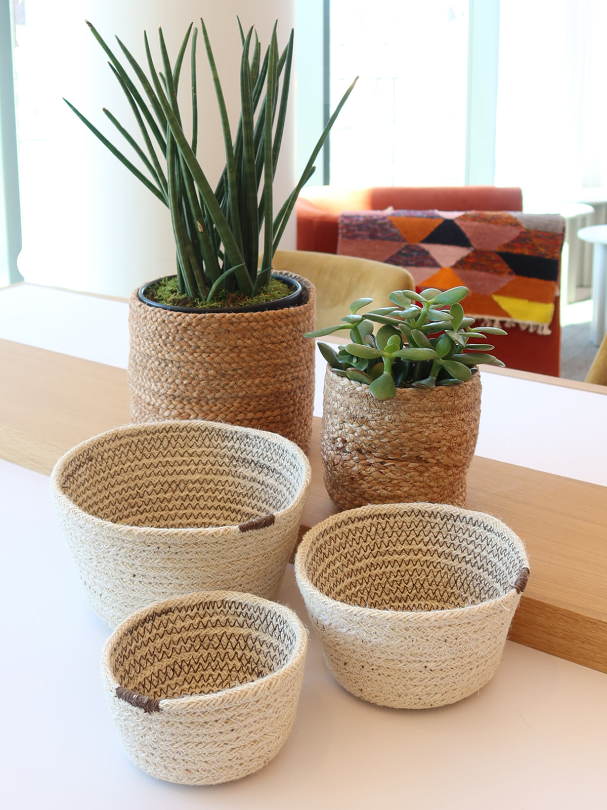 Korissa Kata Bin grouped with lighter basket, potted plant