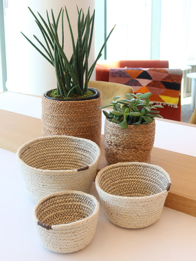 Korissa Kata Bin grouped with lighter basket, potted plant