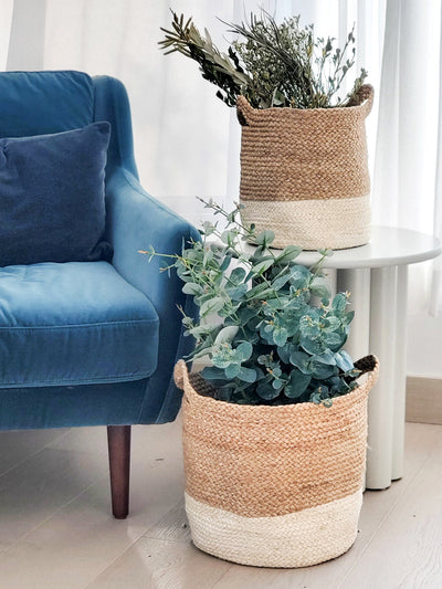 Korissa Kata Colorblock Basket styled in living room with plant, chair