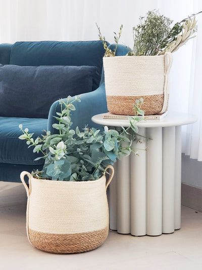 Korissa Savar Basket with Side Handle styled with plant on side table