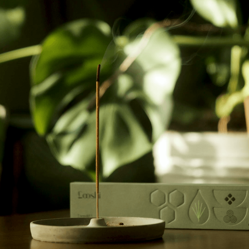 Looshi Rewild incense stick burning in a round holder beside its sage green box, surrounded by sunlit tropical leaves