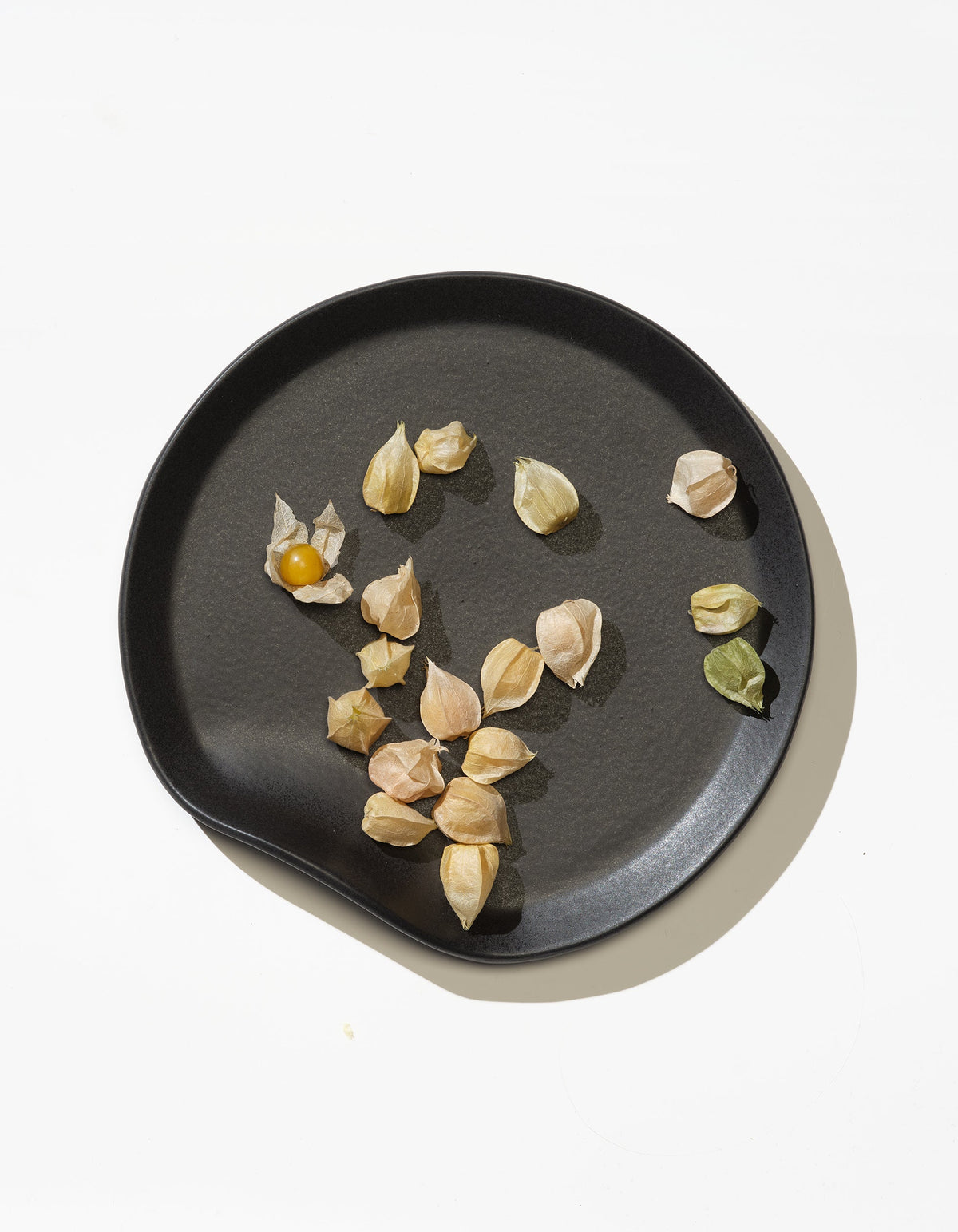 Tortuga Forma Salad Plate Single in Soot scattered with small pale husks and yellow-green fruits, viewed overhead on white to show its gently irregular shape and low raised edge.