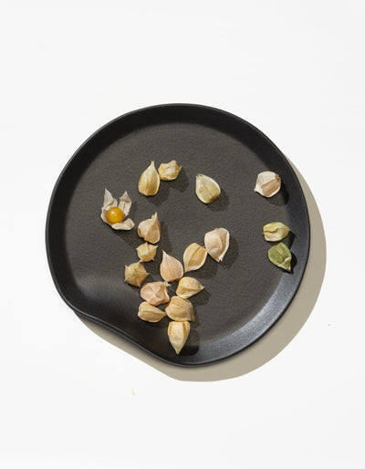 Tortuga Forma Salad Plate Single in Soot scattered with small pale husks and yellow-green fruits, viewed overhead on white to show its gently irregular shape and low raised edge.