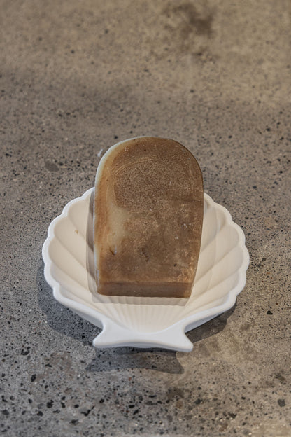 Stucco Shell Trinket Tray