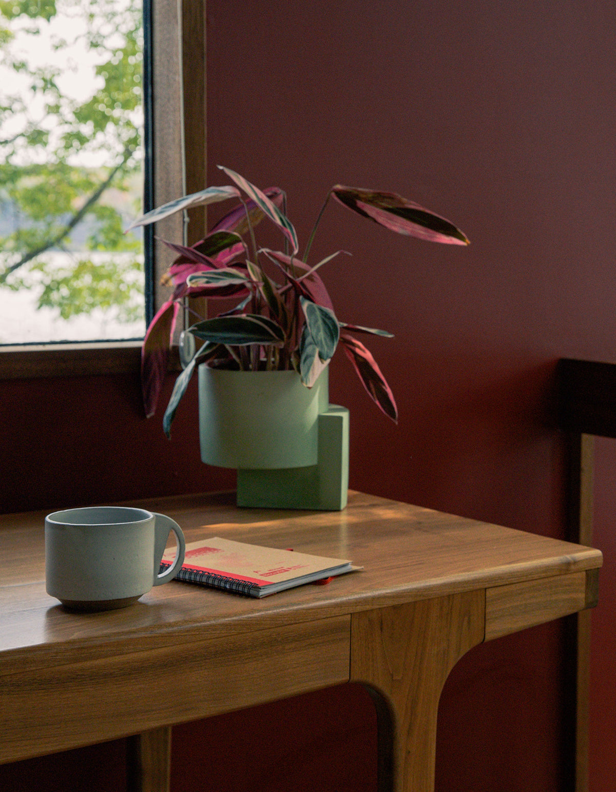 Green Tortuga Forma Platform Planter Medium - Polished Concrete holding a leafy plant with green and burgundy foliage on a wooden table beside a window, with a grey mug and notebooks nearby.
