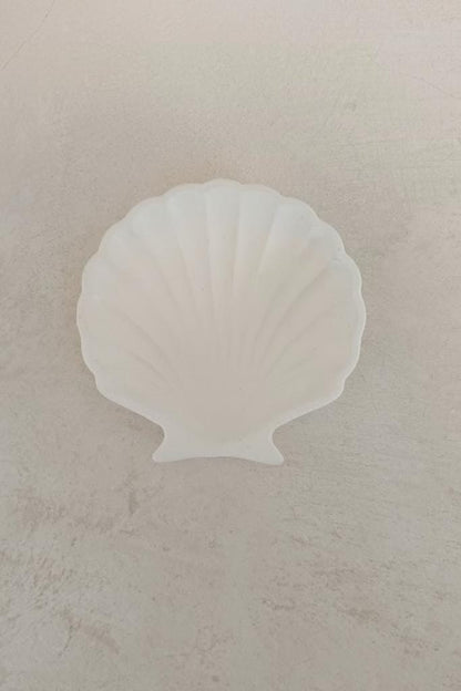 Stucco Shell Trinket Tray