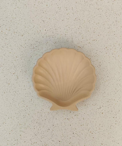 Stucco Shell Trinket Tray