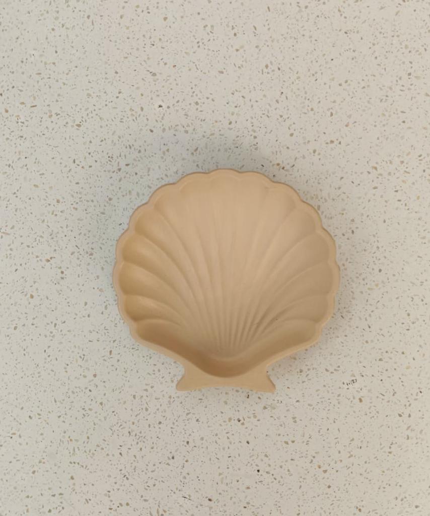 Stucco Shell Trinket Tray