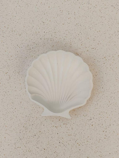 Stucco Shell Trinket Tray