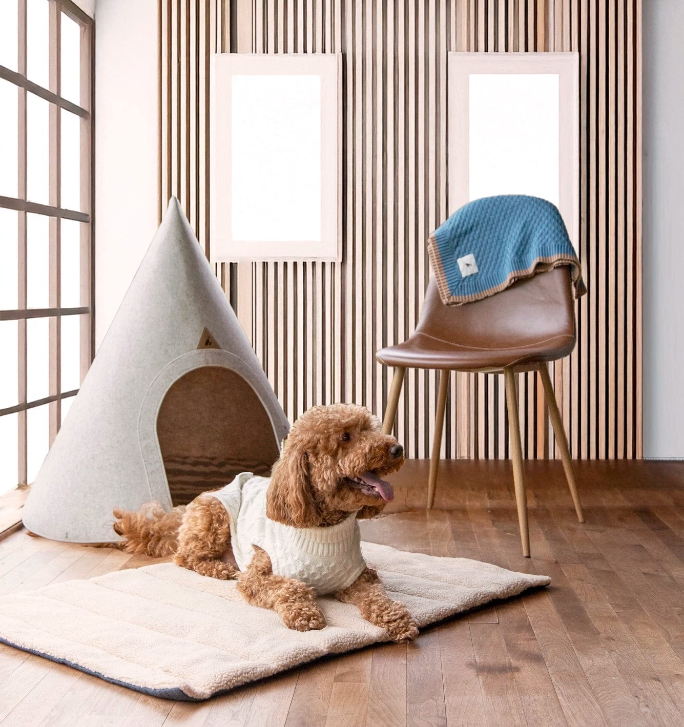 Nooee Pet Cave Molly (XL) – Cream