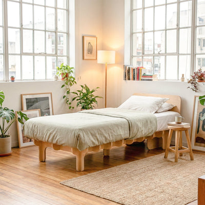 DOVID wood bed frame with cream bedding in a warm sunlit bedroom surrounded by windows, plants, artwork and a wooden chair