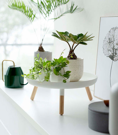 Countertop Pedestal Tray (5" H)  - Steel + Wood