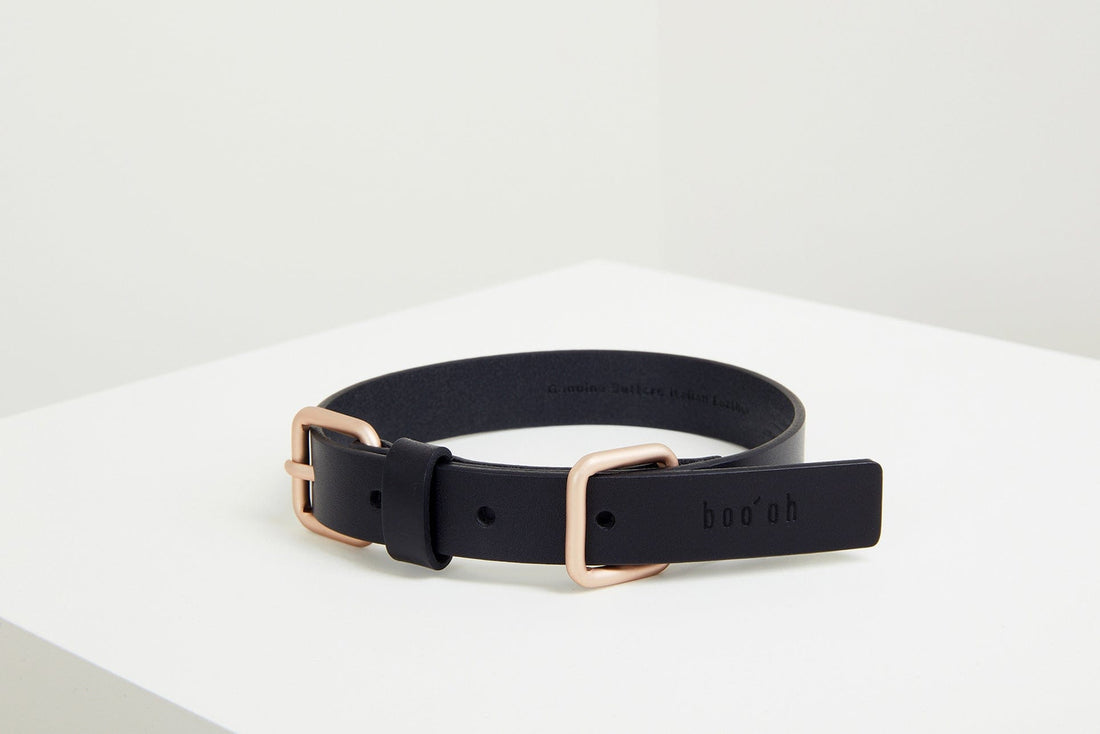 Lumi Collar, Black