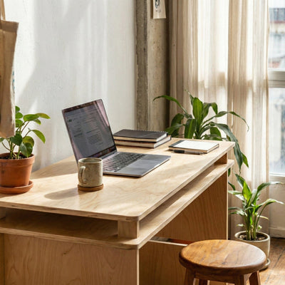 Close view of a laptop, books and mug arranged on the Williamsburg desk beside sunlit curtains and potted plants