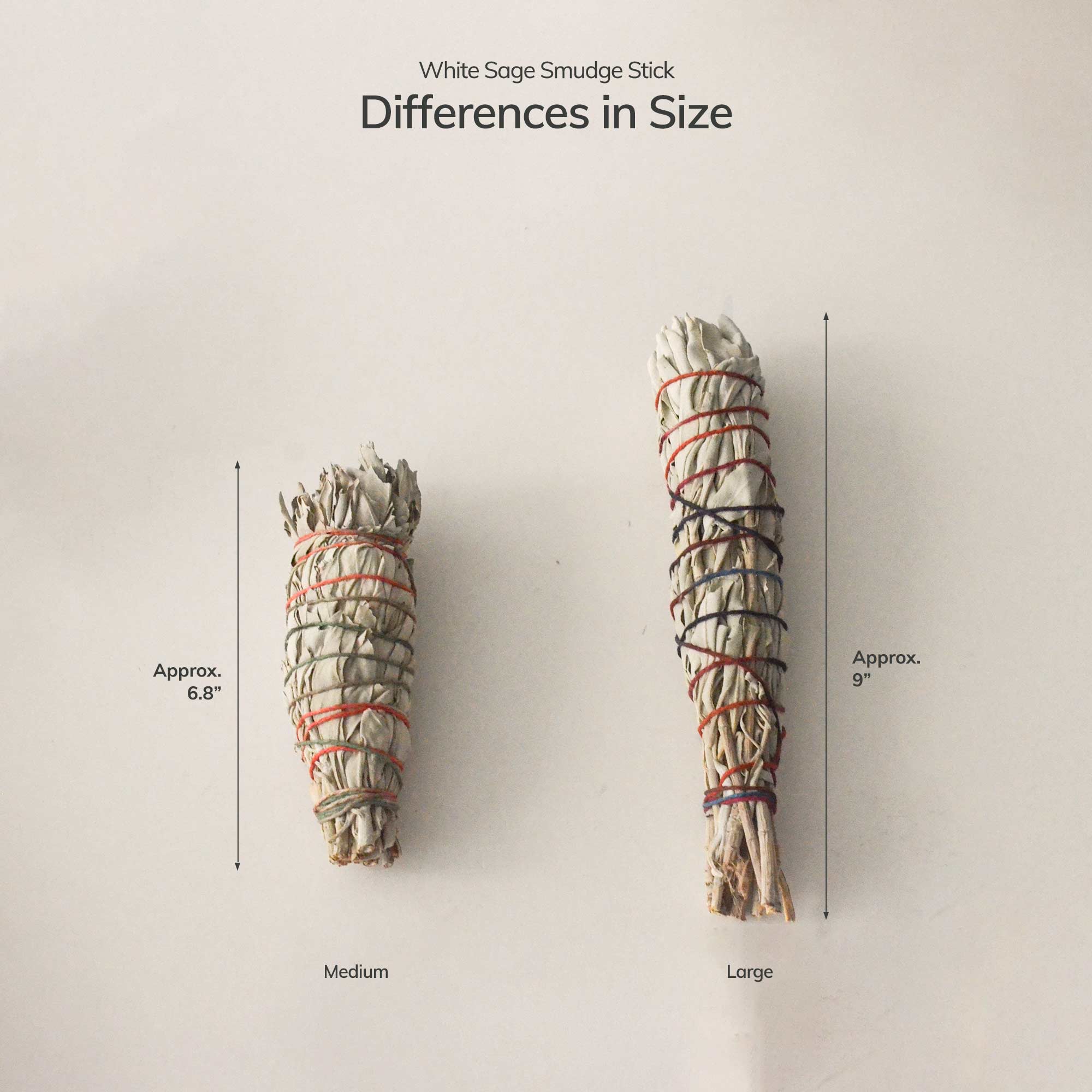 Two white sage smudge sticks with measurements on a light gray background