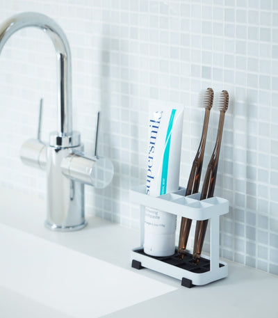 White toothbrush holder with toothbrushes and a bottle on a bathroom counter.