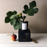 Figue Verte candle with a plant and fruit on a neutral background