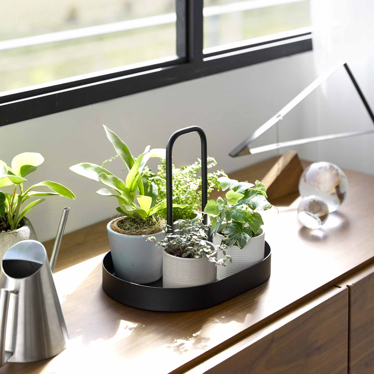 Black Yamazaki Home Vanity Tray with Handle - Steel grouping small potted plants on a wooden cabinet beneath a window, with sunlight falling across the tray.
