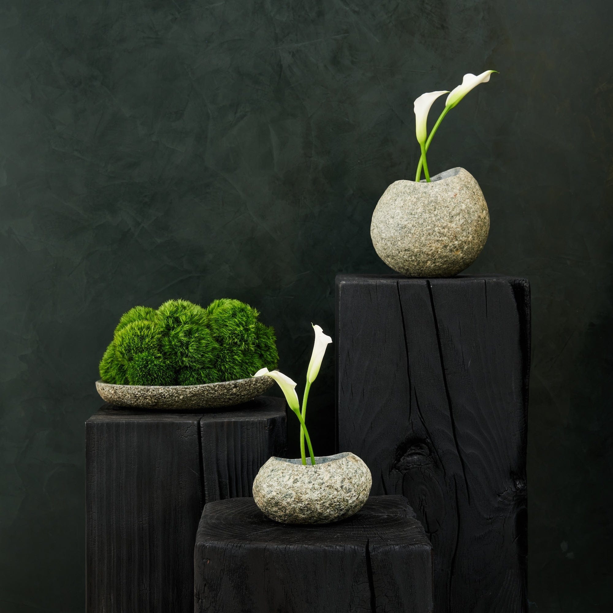 Three stone vases with plants on wooden planks against a dark background