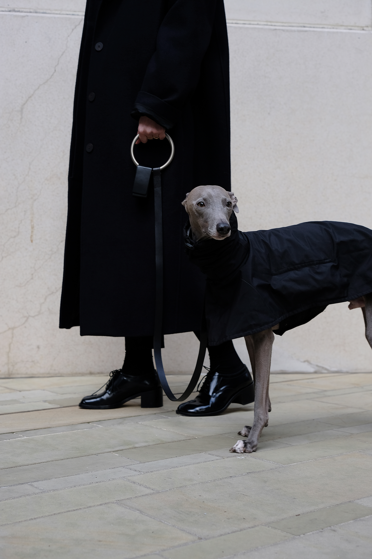 Person in a long black coat walking a slender gray dog dressed in a black coat, using the black Lumi Leash by its circular metal handle.