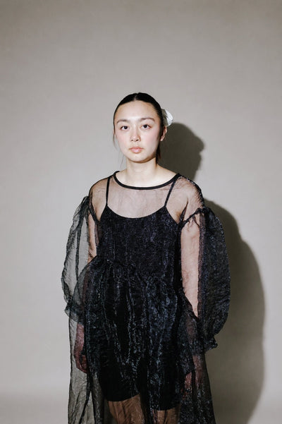Jayme Dress in Black Organza