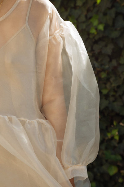 Jayme Dress in Oat Organza