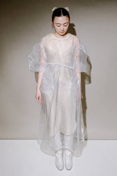Jayme Dress in Oat Organza
