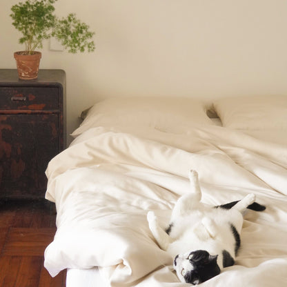 Organic Bamboo Sateen Duvet Cover Set