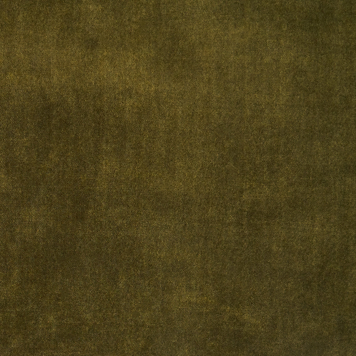 Olive Rug