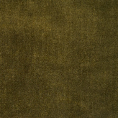 Olive Rug