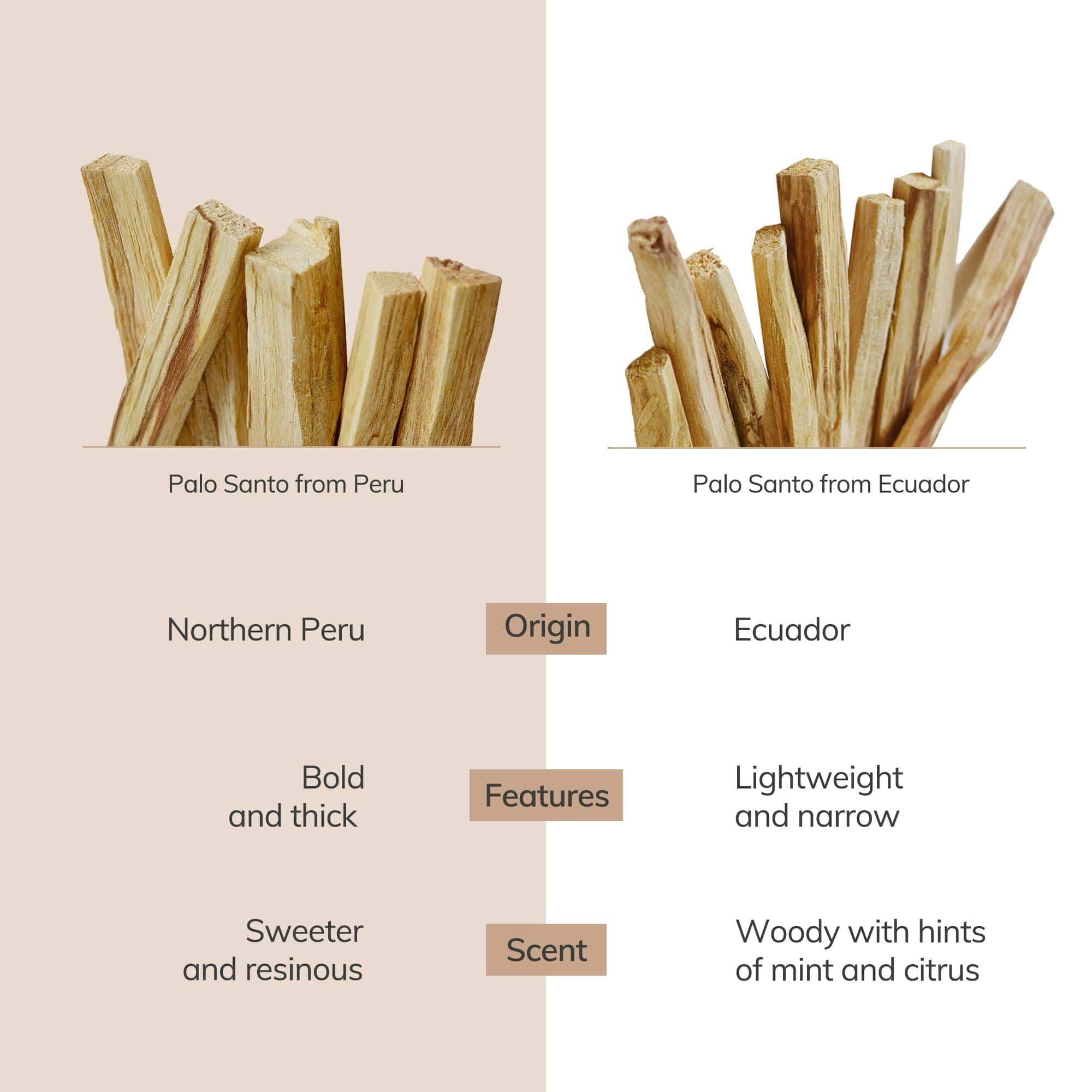 Comparison of Palo Santo from Peru and Ecuador on a beige background