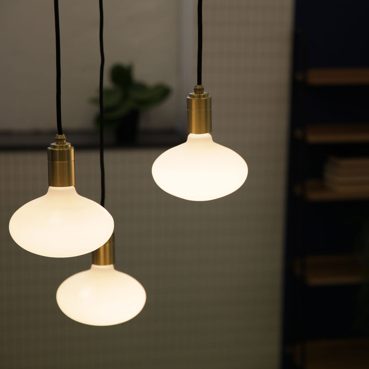 Oval Pendant Light in Brass