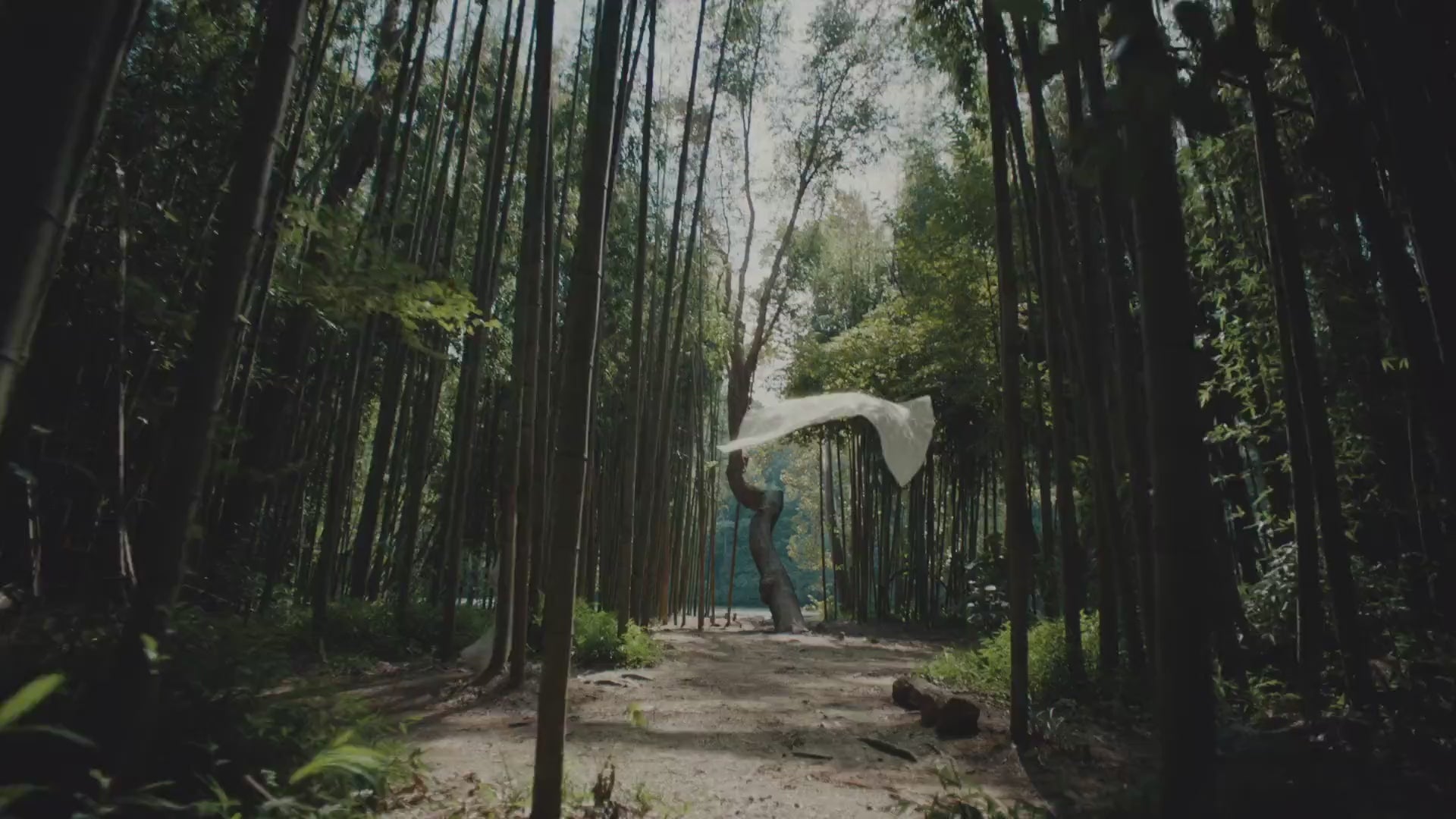 Load video: Made with Intention