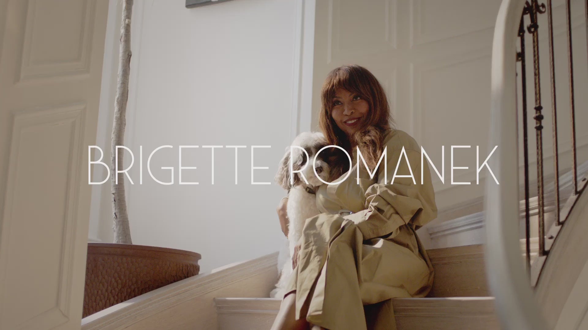 Load video: LAY LO Pet Bed with Brigette Romanek