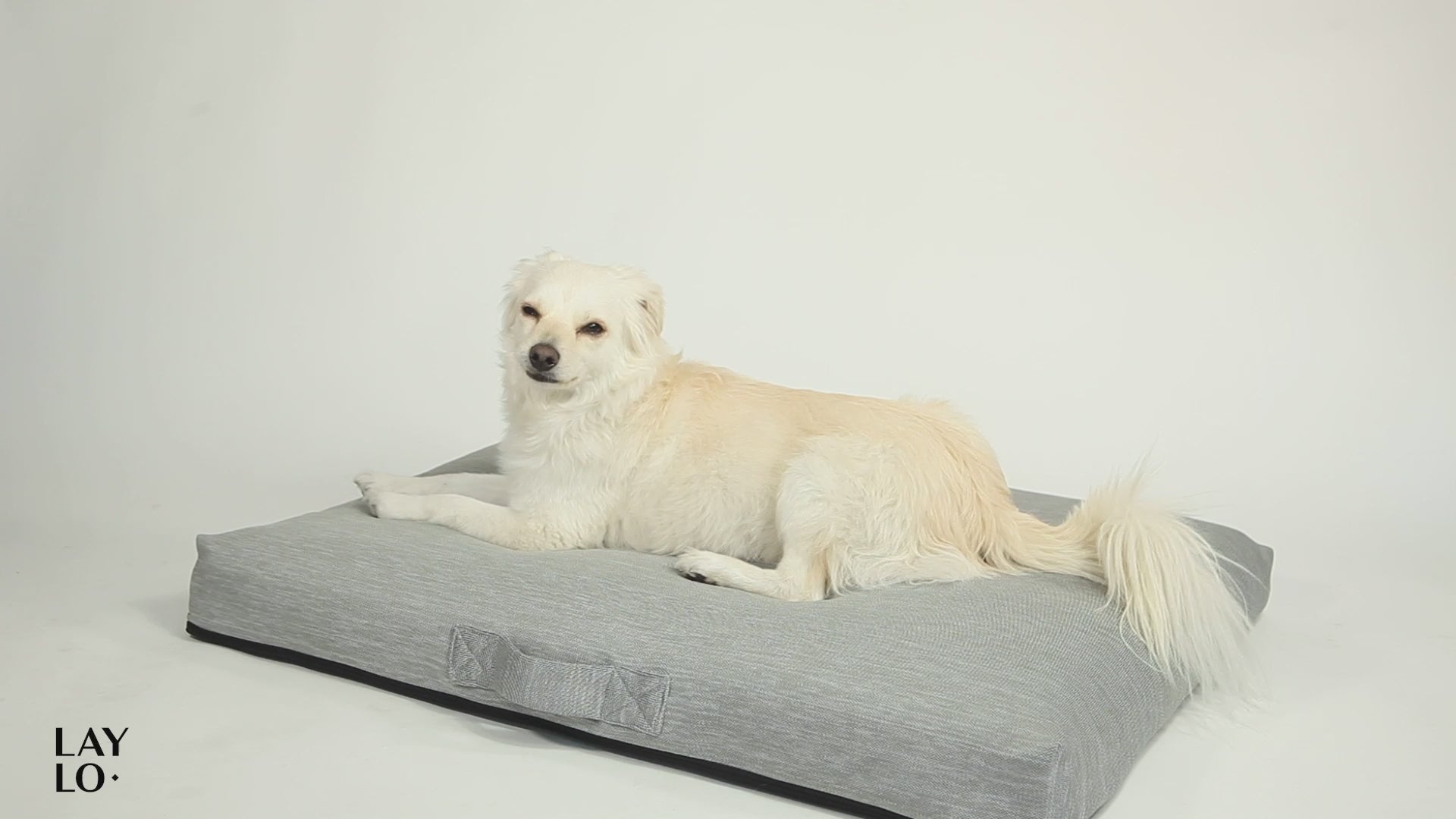 Load video: Made with Intention