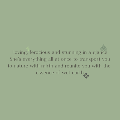 Sage green graphic describing Looshi Rewild as a bold fragrance that transports the senses to nature and the essence of wet earth