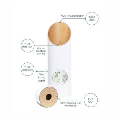 Diagram of the Yoga Tube 