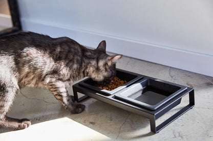 Pet Food Bowl