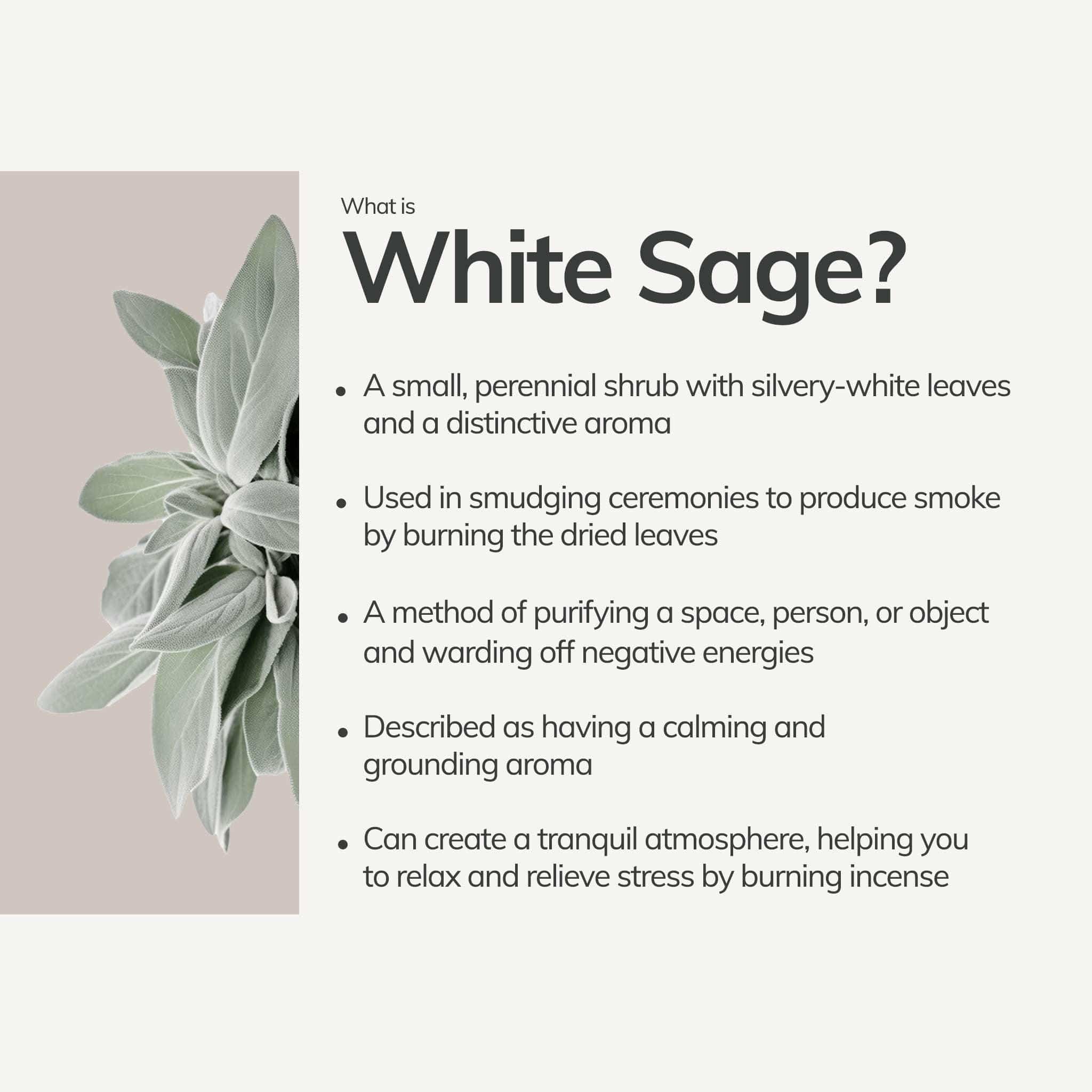 Organic White Sage Smudge Stick - Large explanation