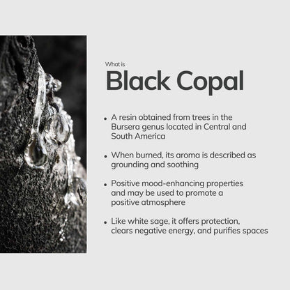 Black Copal resin with descriptive text on a light gray background