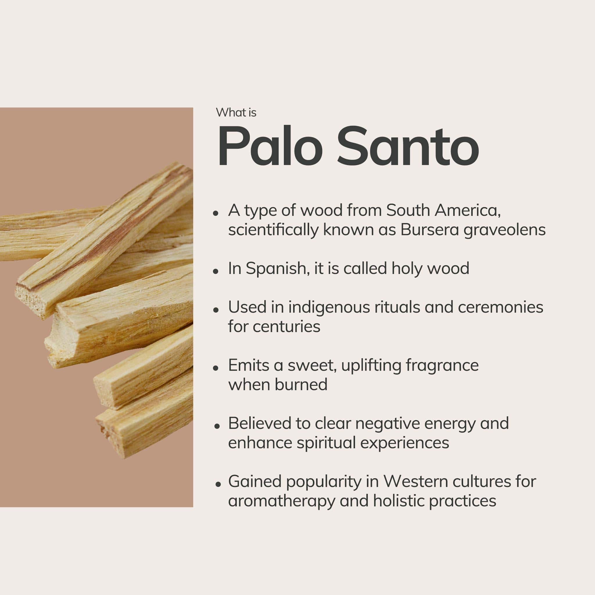 Palo Santo Sticks from Ecuador | 10 sticks